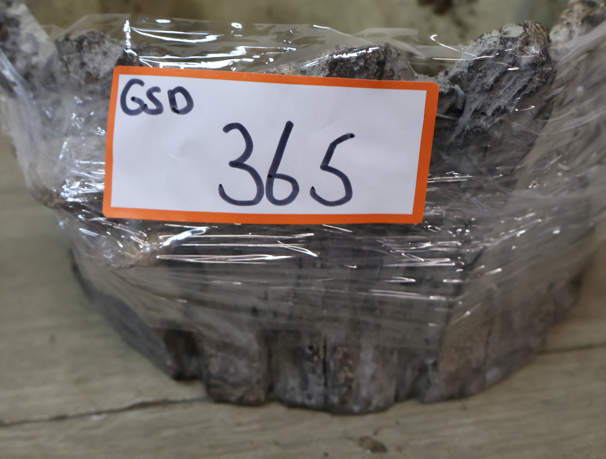 Decoratieve plantenbak boomstronk met paddenstoelen – foto 16 – kavel bij GSD Auctions, Zoeterwoude