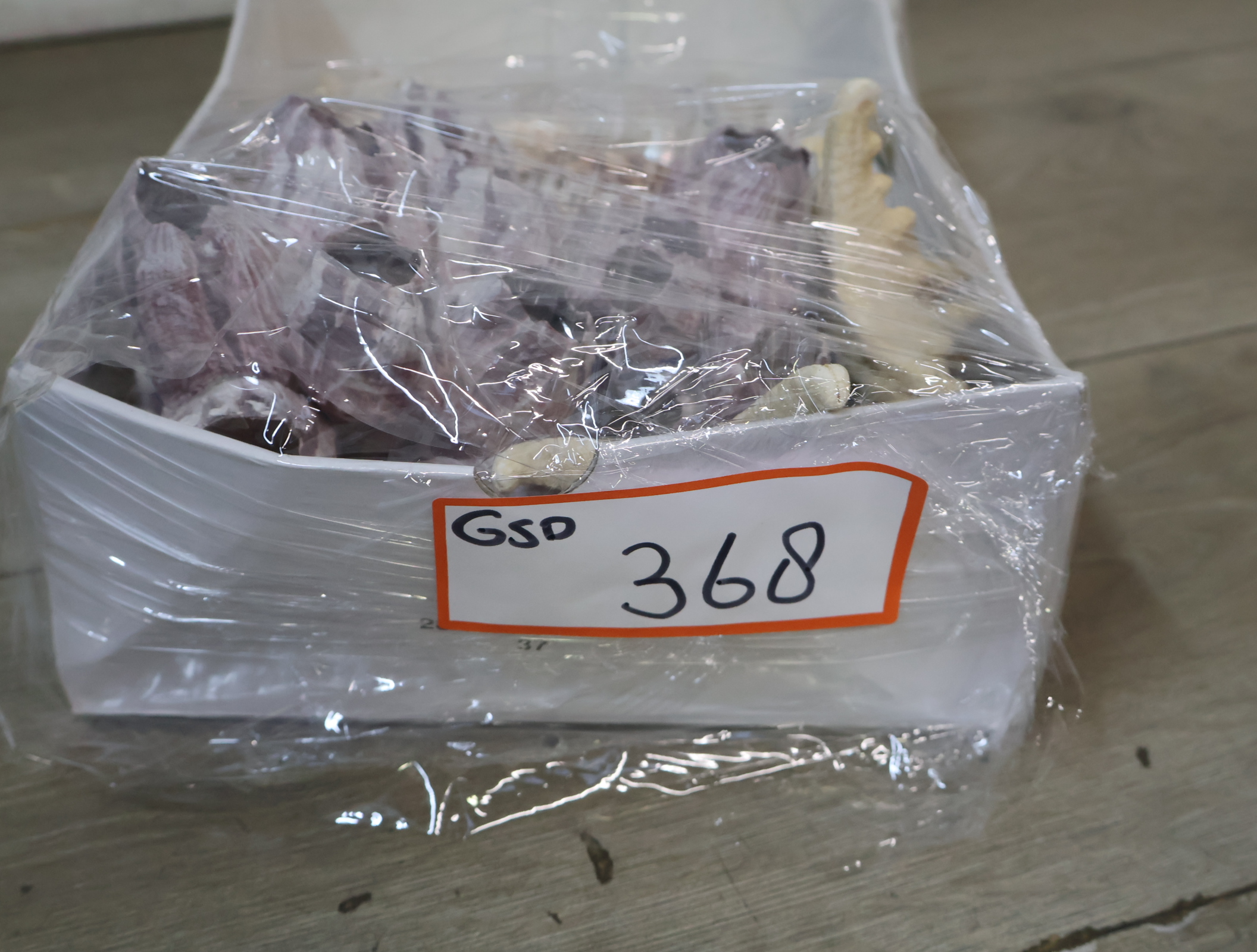Verzameling diverse schelpen en zeesterren – foto 14 – kavel bij GSD Auctions, Zoeterwoude