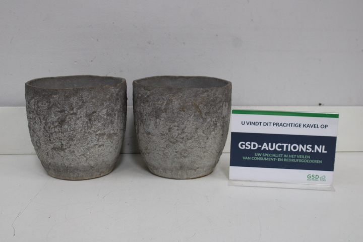Set van 2 plantenpotten – foto 2 – kavel bij GSD Auctions, Zoeterwoude