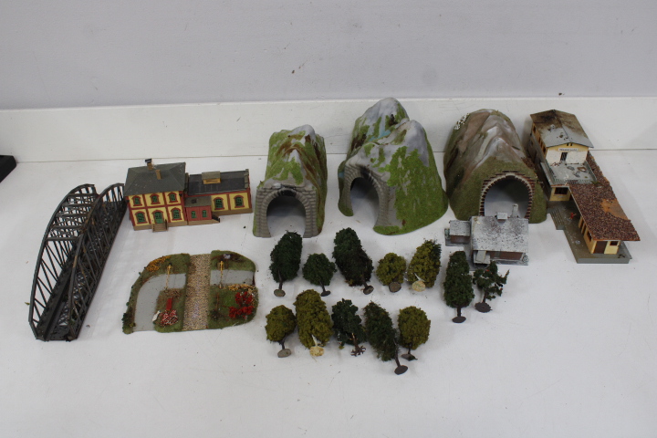 Modelbouw treinstation, brug, bergen en bomen – foto 3 – kavel bij GSD Auctions, Zoeterwoude