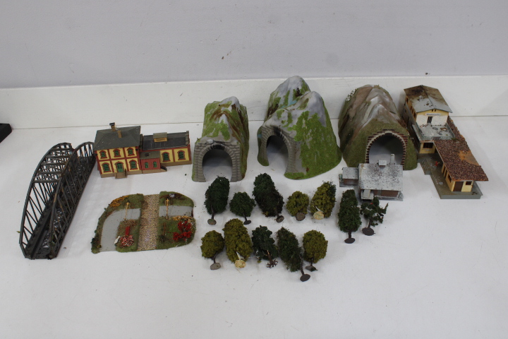 Modelbouw treinstation, brug, bergen en bomen – foto 4 – kavel bij GSD Auctions, Zoeterwoude