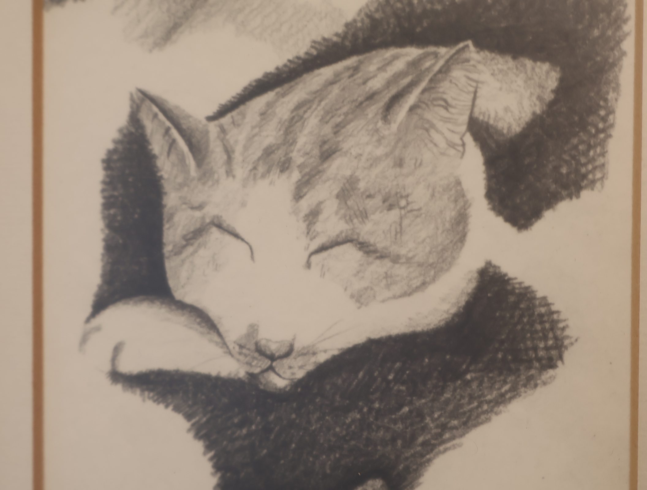 Potloodtekening van vijf kattenkoppen – foto 2 – kavel bij GSD Auctions, Zoeterwoude