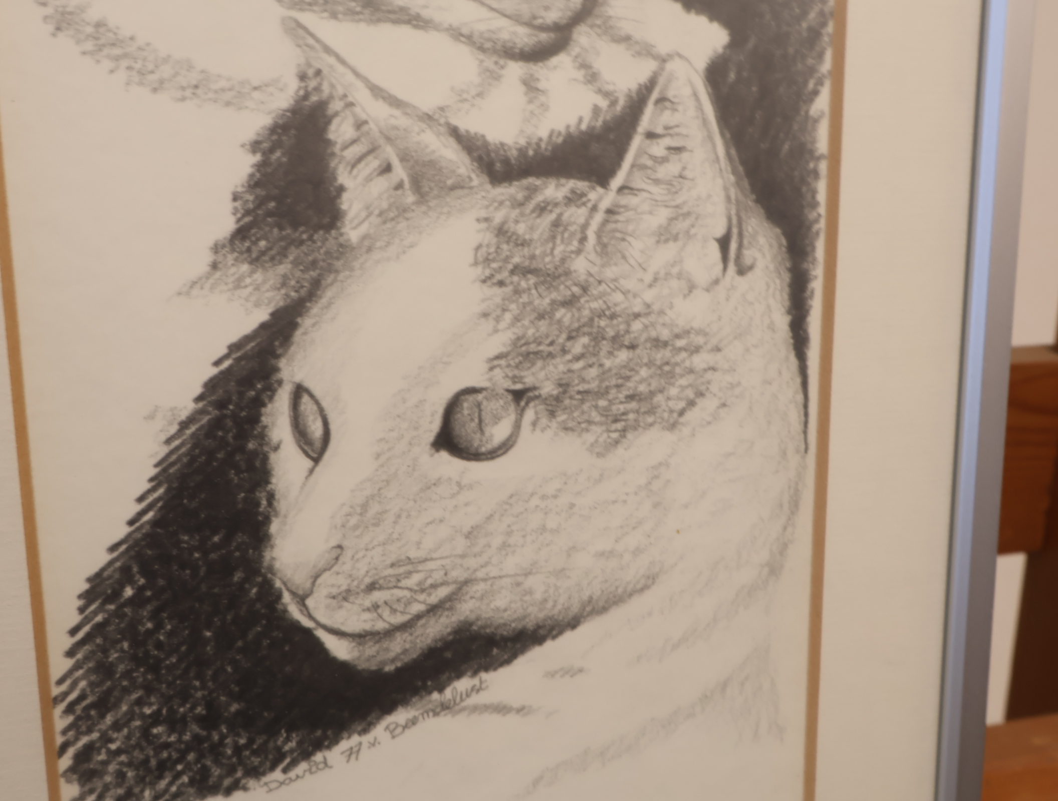 Potloodtekening van vijf kattenkoppen – foto 3 – kavel bij GSD Auctions, Zoeterwoude