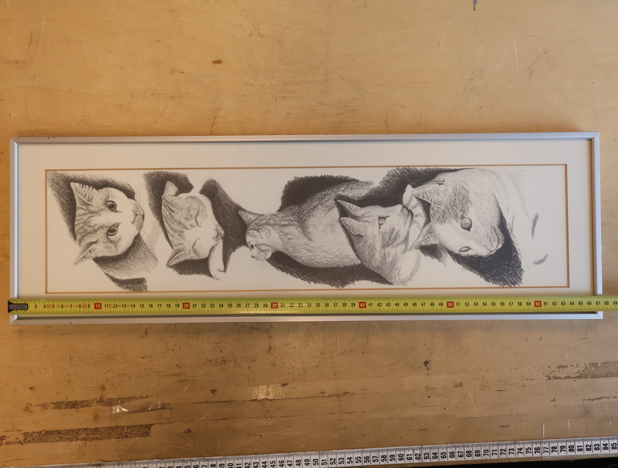 Potloodtekening van vijf kattenkoppen – foto 6 – kavel bij GSD Auctions, Zoeterwoude