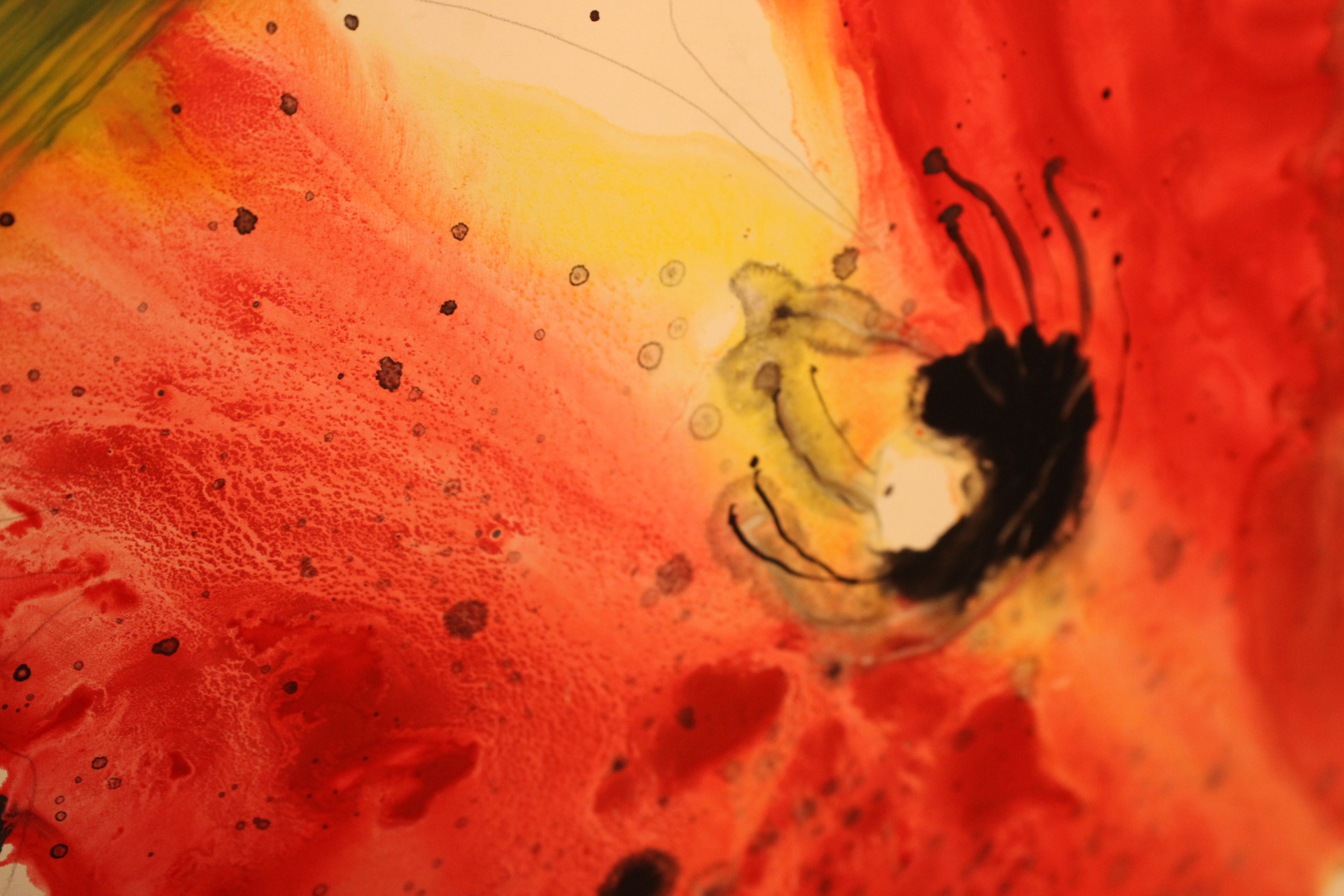 Abstract schilderij met bloemen in wit houten lijst – foto 13 – kavel bij GSD Auctions, Zoeterwoude