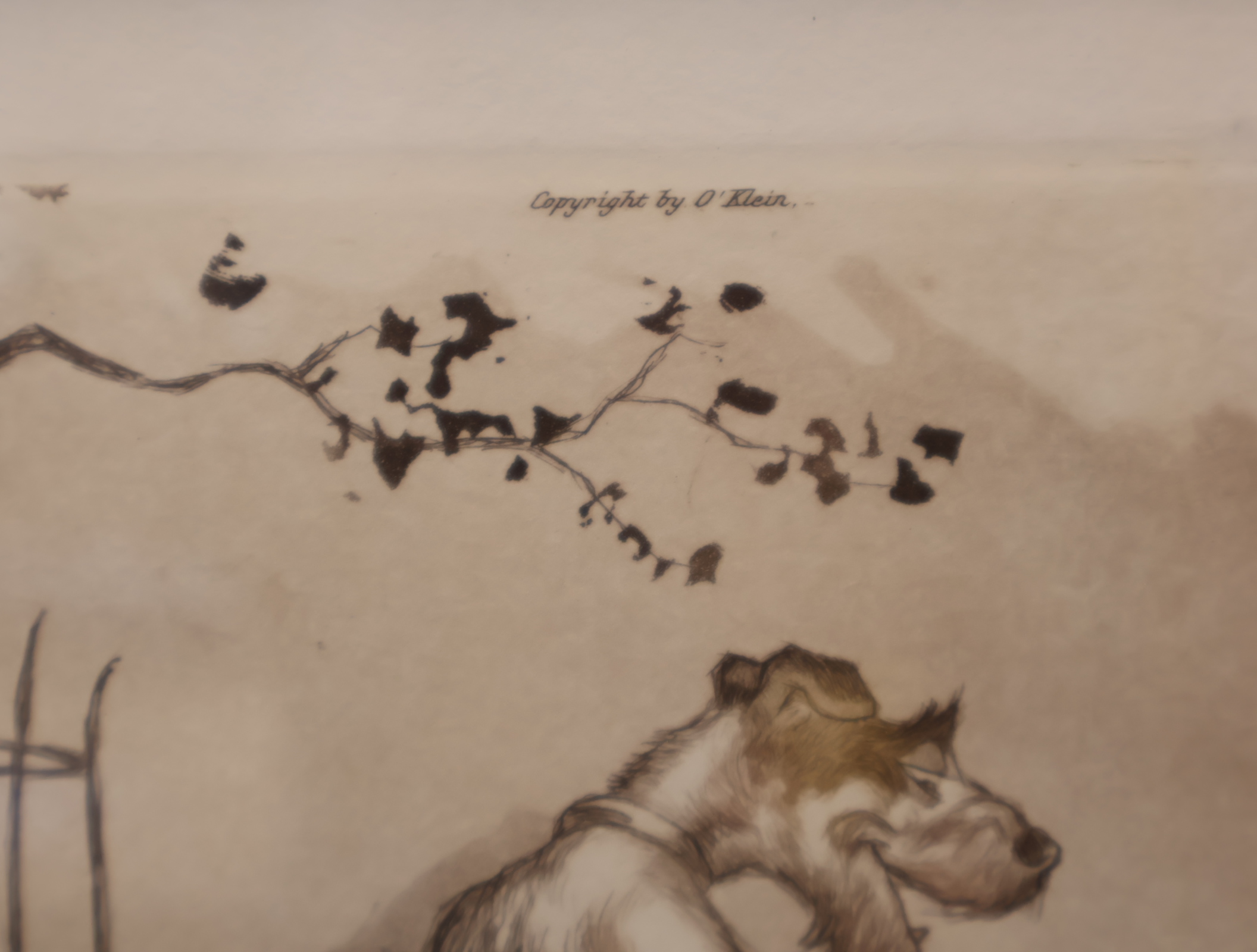 Gesigneerde pentekening van honden – foto 4 – kavel bij GSD Auctions, Zoeterwoude