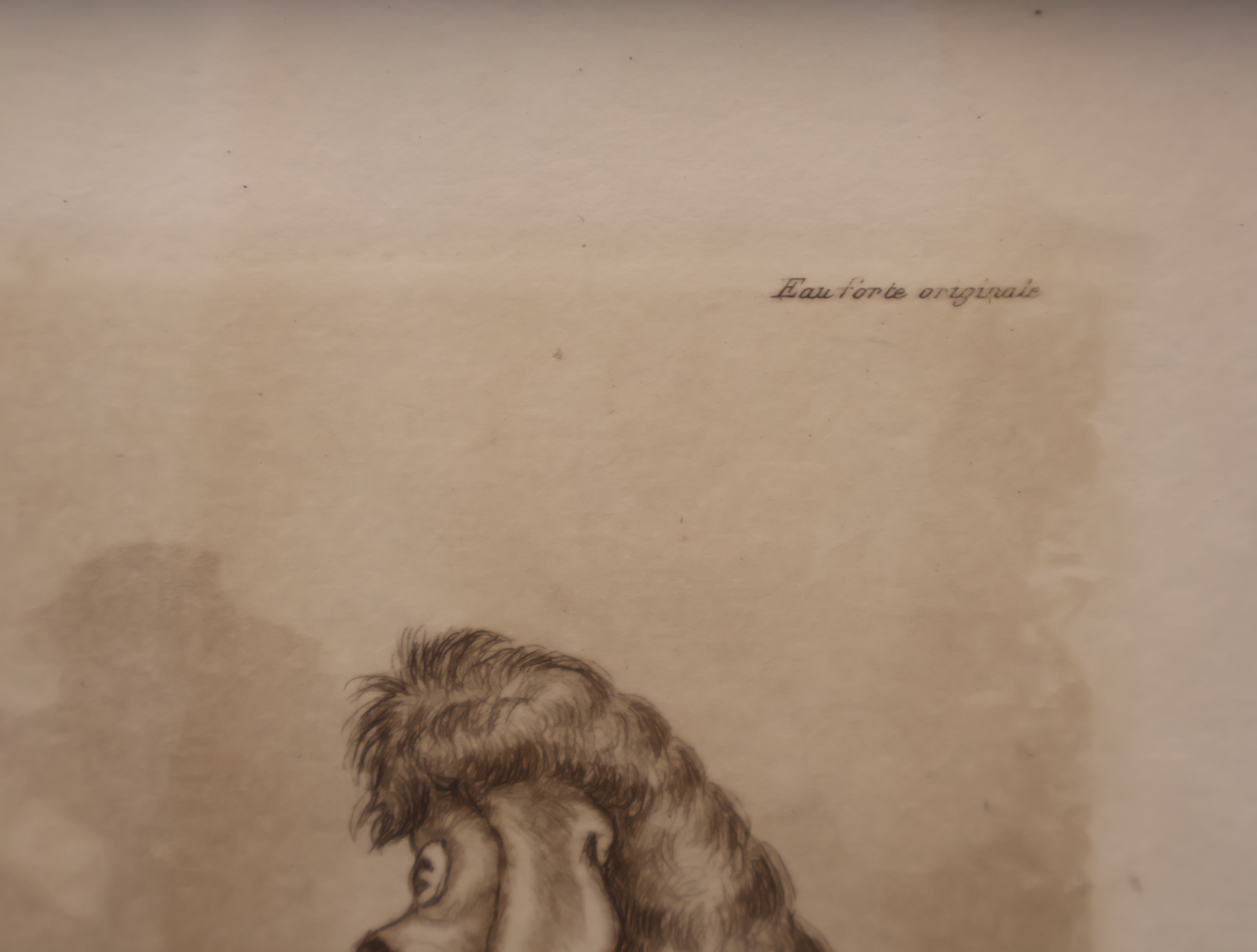 Gesigneerde pentekening van honden – foto 5 – kavel bij GSD Auctions, Zoeterwoude