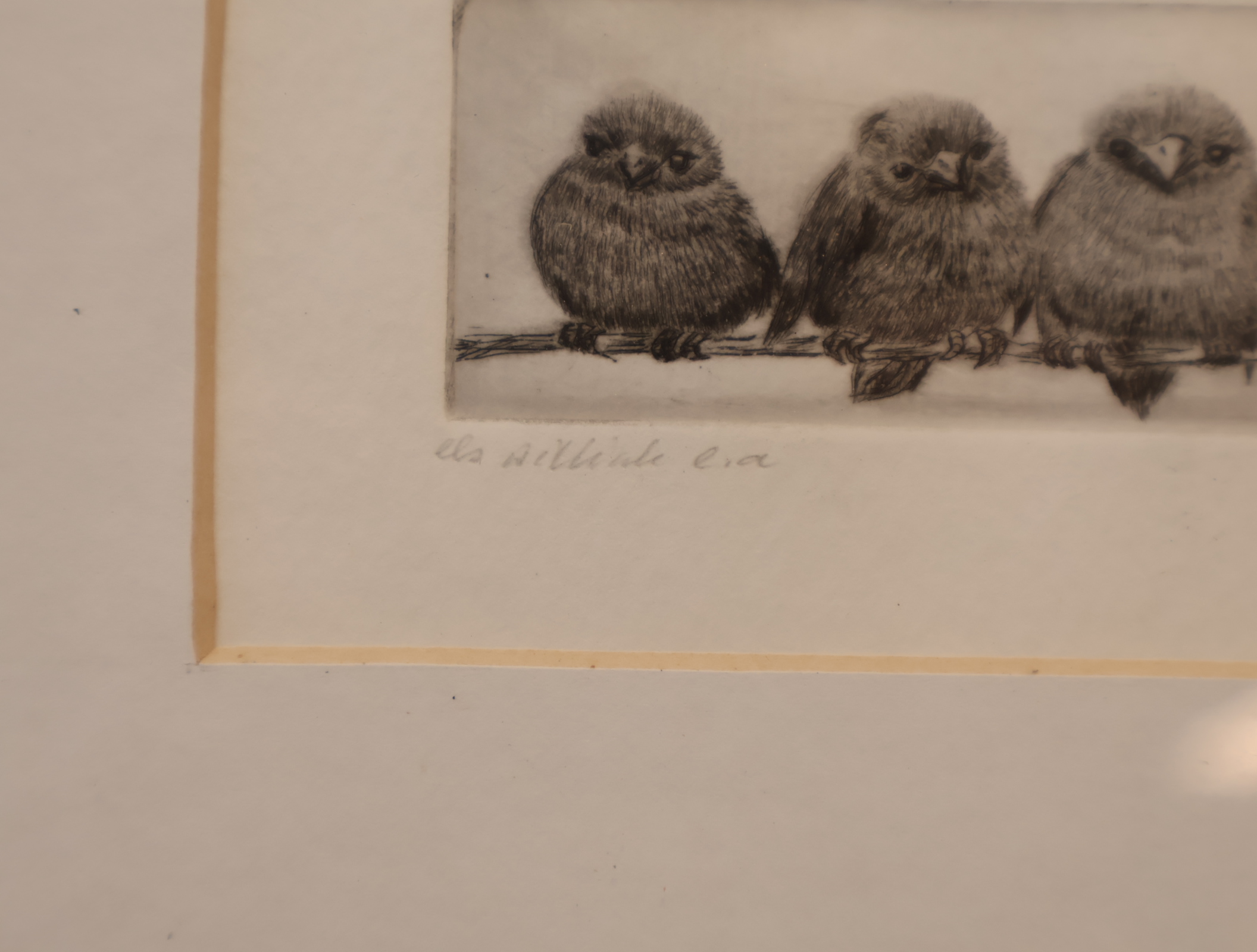 Ingelijste ets van zes vogels op een tak – foto 2 – kavel bij GSD Auctions, Zoeterwoude