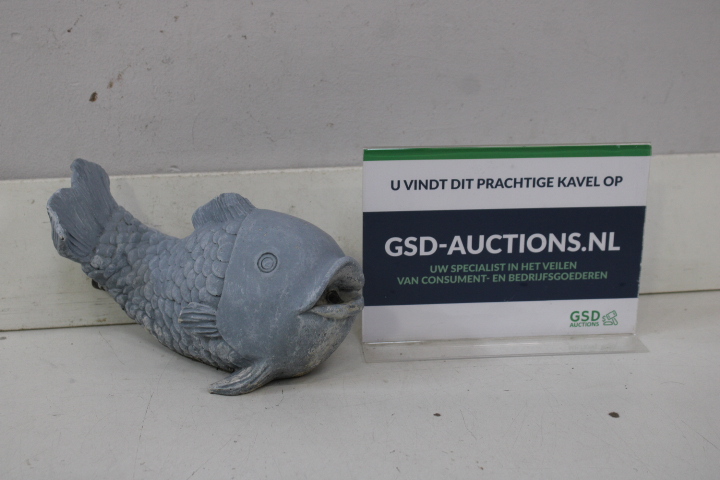 Vis Fontijn – foto 2 – kavel bij GSD Auctions, Zoeterwoude