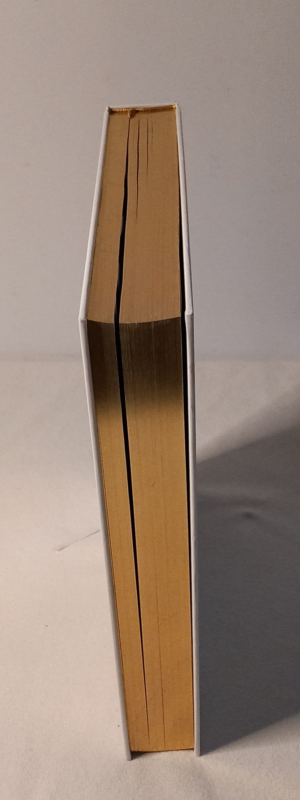 The Book of Rituals – foto 3 – kavel bij GSD Auctions, Zoeterwoude