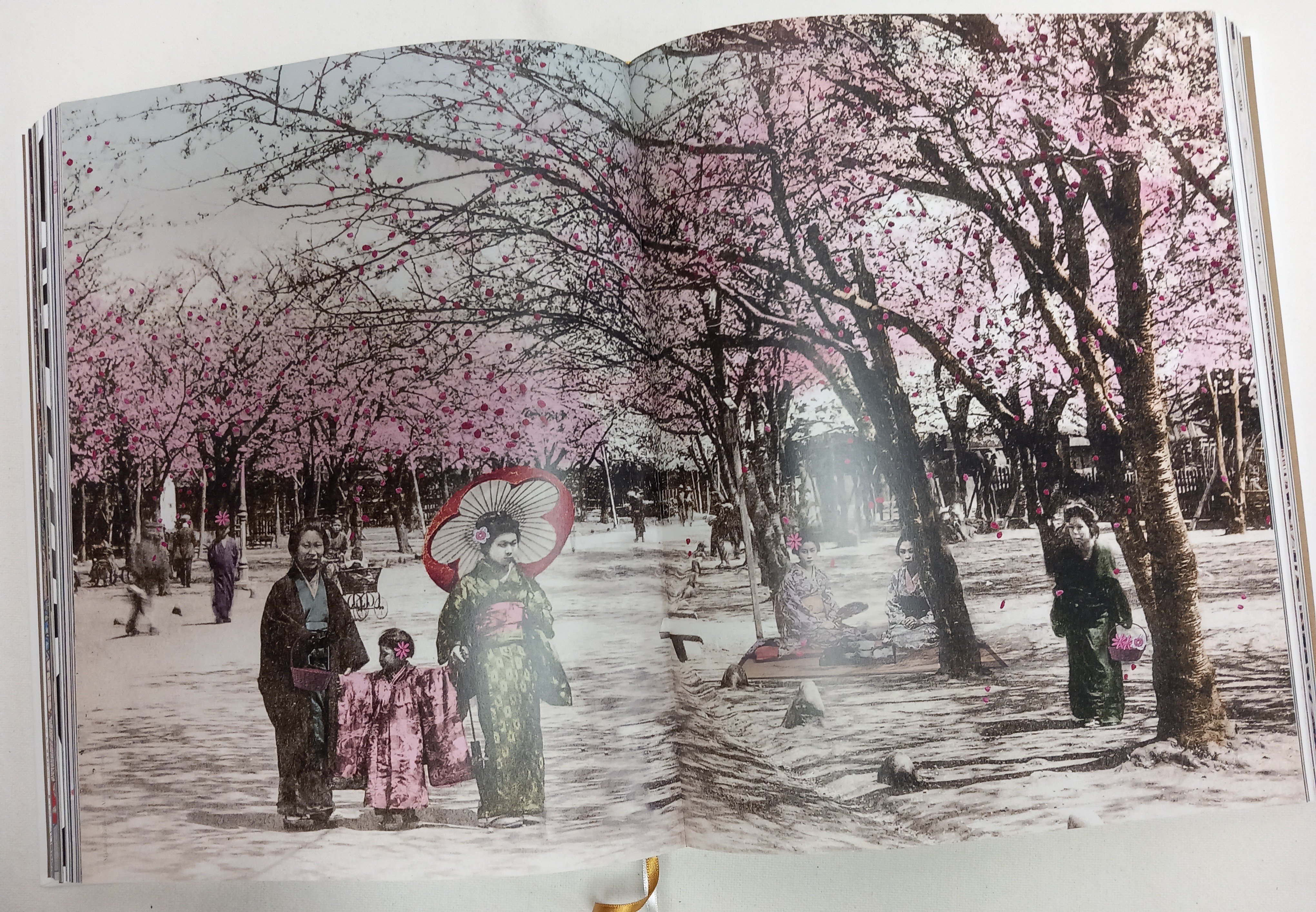 The Book of Rituals – foto 9 – kavel bij GSD Auctions, Zoeterwoude