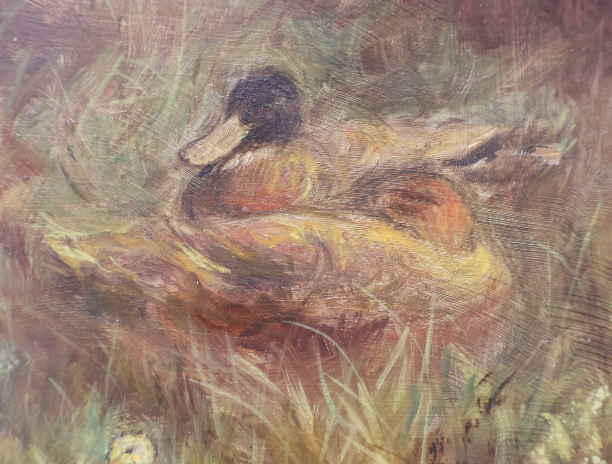 Olieverfschilderij eenden met Kuikens – foto 4 – kavel bij GSD Auctions, Zoeterwoude
