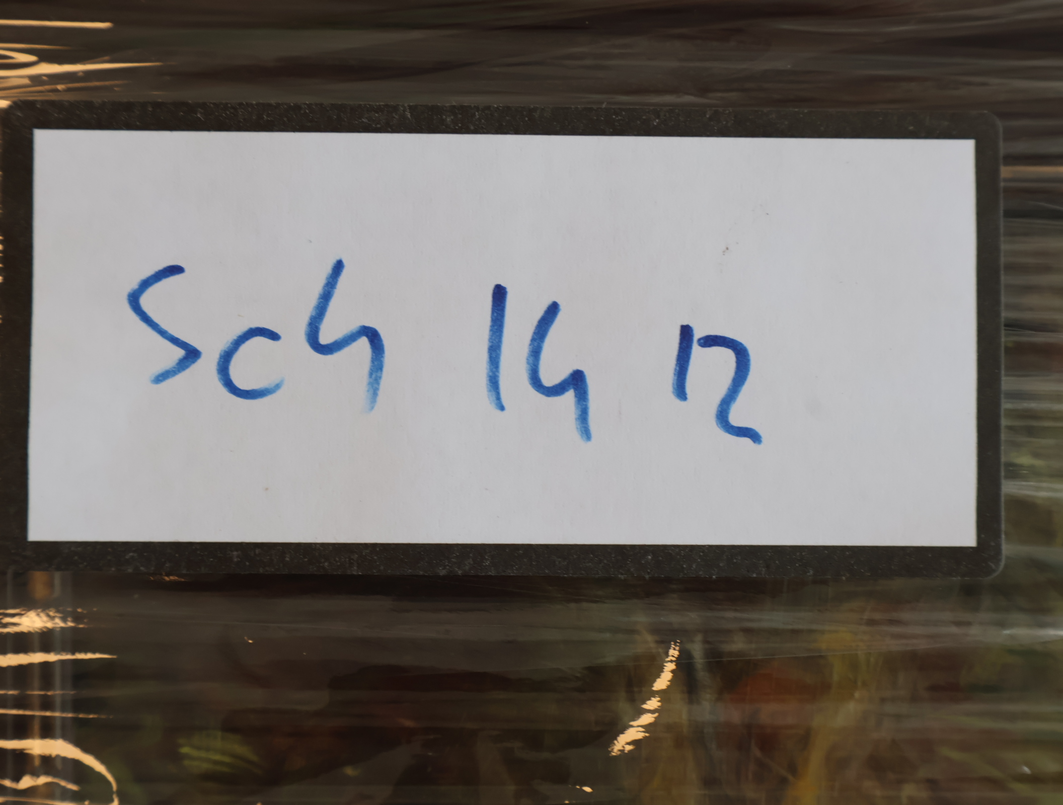 Olieverfschilderij eenden met Kuikens – foto 8 – kavel bij GSD Auctions, Zoeterwoude