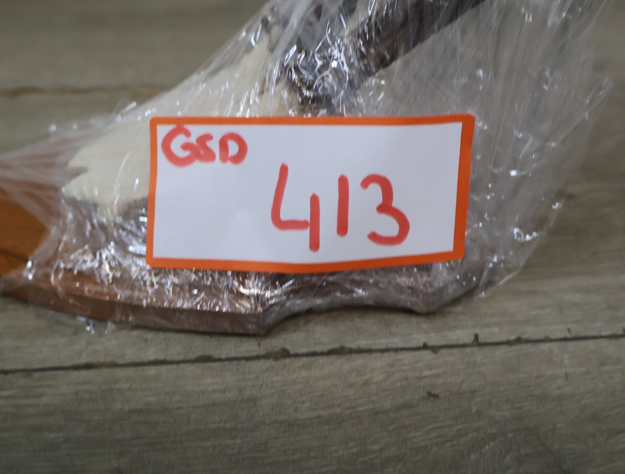 Gewei op houten schild – foto 22 – kavel bij GSD Auctions, Zoeterwoude