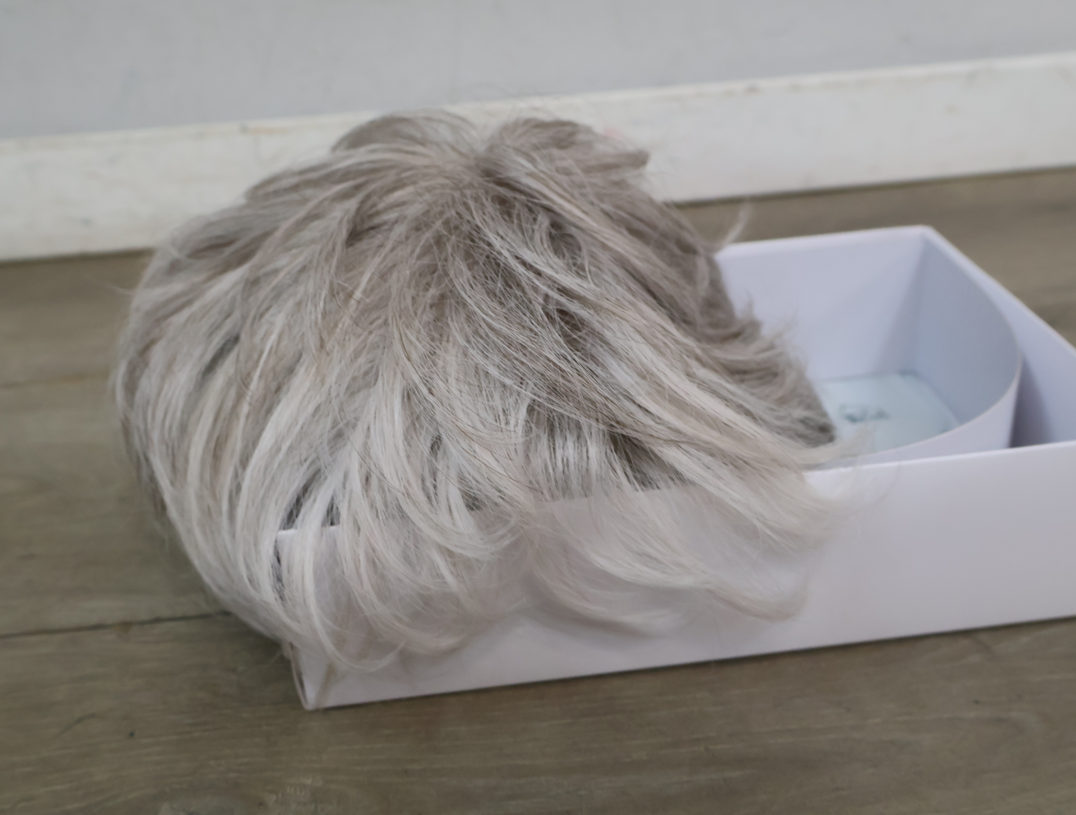 Gisela Mayer MH Hair pruik grijs – foto 6 – kavel bij GSD Auctions, Zoeterwoude
