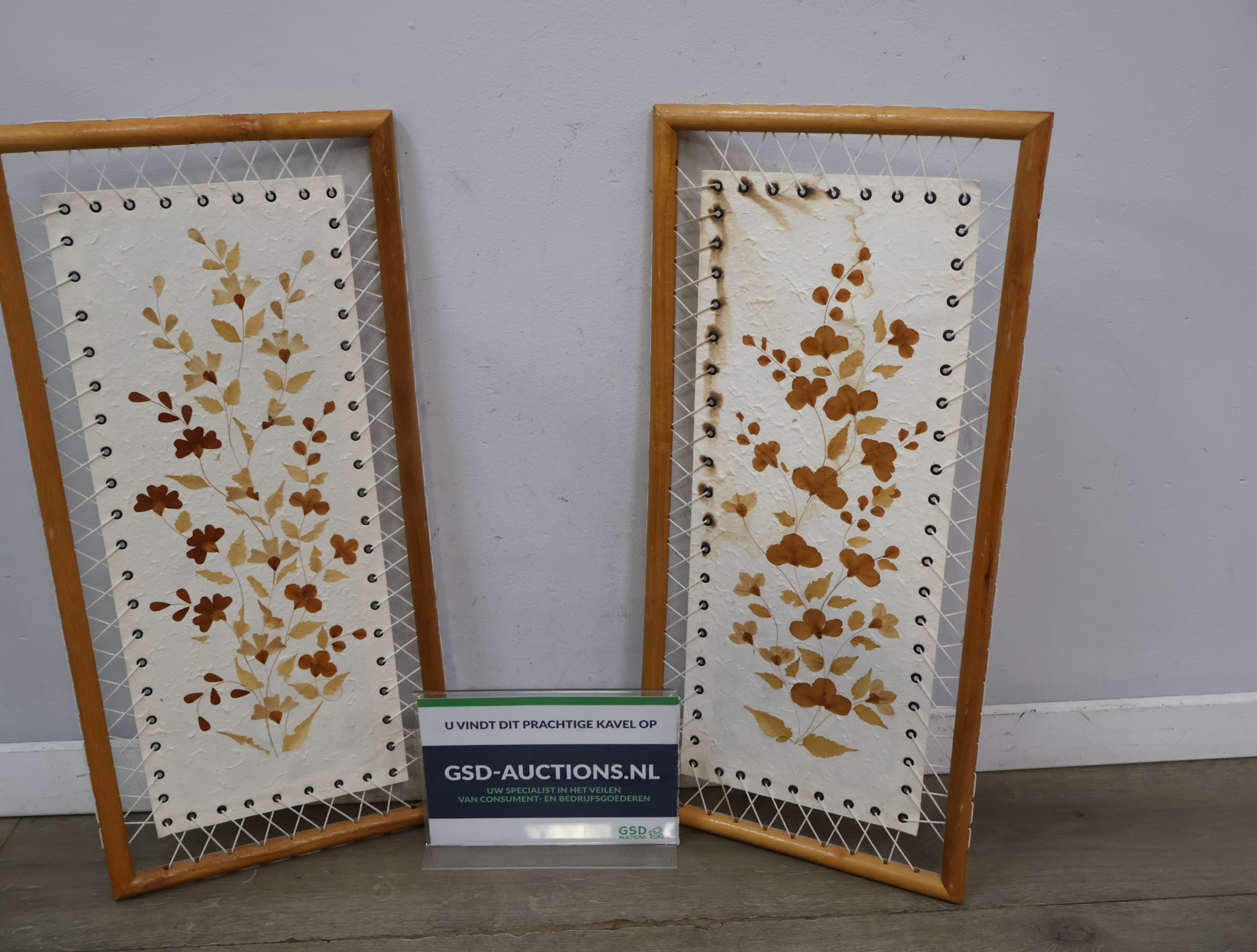 Set van 2 ingelijste gedroogde bloemen in houten frame – foto 2 – kavel bij GSD Auctions, Zoeterwoude