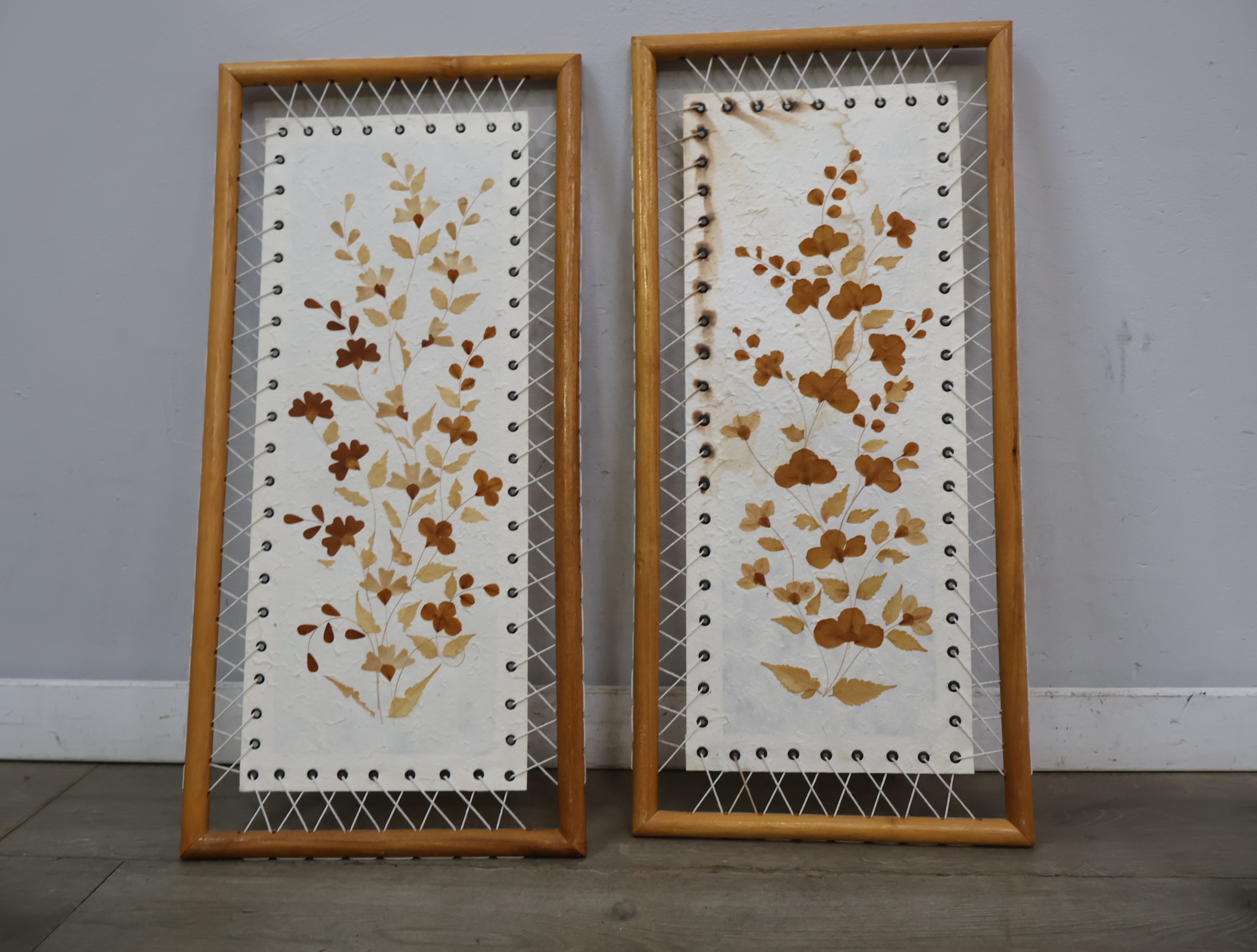 Set van 2 ingelijste gedroogde bloemen in houten frame – foto 4 – kavel bij GSD Auctions, Zoeterwoude