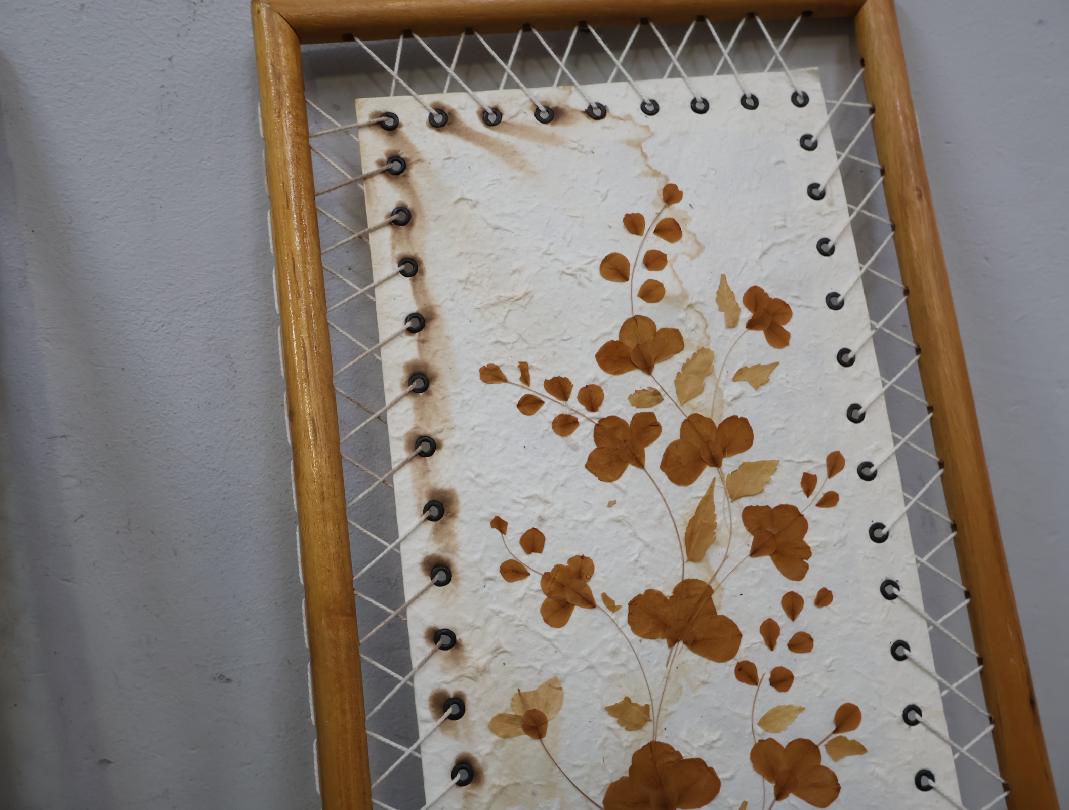 Set van 2 ingelijste gedroogde bloemen in houten frame – foto 9 – kavel bij GSD Auctions, Zoeterwoude