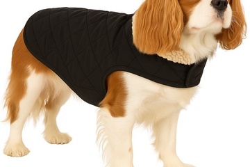 Afbeelding van Hondenjas – Flamingo Bonnie – honden jas