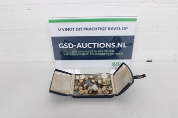 Afbeelding van Set van diverse knopen in etui