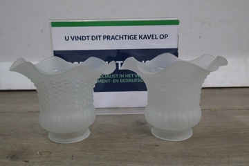 Afbeelding van Twee vintage glazen lampenkappen