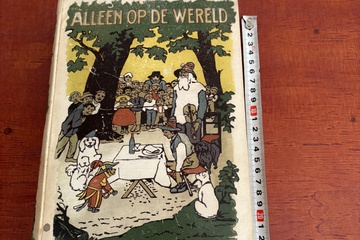 Afbeelding van Alleen op de wereld Verhalen Boek
