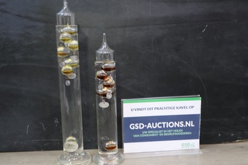Afbeelding van Set van twee Galileo thermometers