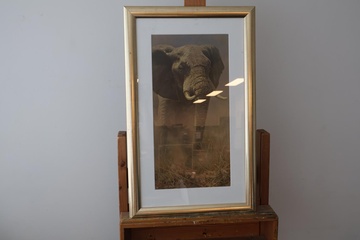 Afbeelding van G framed print olifant