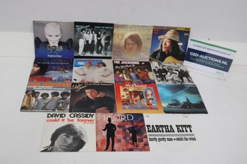 Afbeelding van 15 diverse vinyl singles en EP's