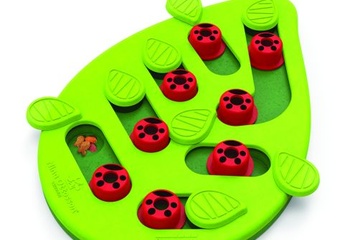 Afbeelding van Nina ottosson Puzzle & Play Buggin Out 35x29x4,5 cm