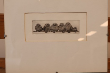Afbeelding van Ingelijste ets van zes vogels op een tak