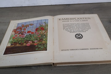 Afbeelding van Boek 'Kamerplanten' door A.J. van Laren