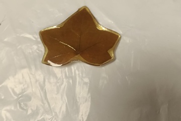 Afbeelding van Resin pin van een blaadje