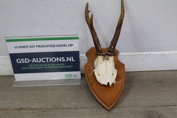 Afbeelding van Gewei op houten schild