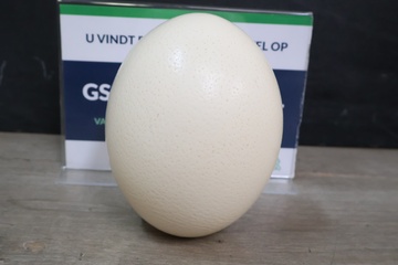 Afbeelding van Struisvogelei