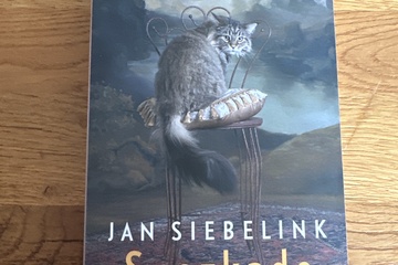 Afbeelding van Boek Suezkade Jan Siebelink