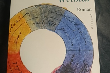 Afbeelding van de ziekte van weimar boek