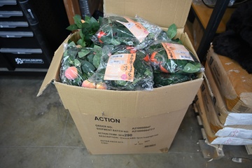 Afbeelding van Partij fruit slingers 