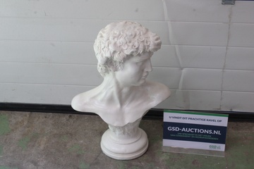Afbeelding van Buste van David van Michelangelo - wit gips
