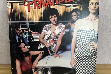 Afbeelding van Trouble in school private lines lp vinyl Ongetest!