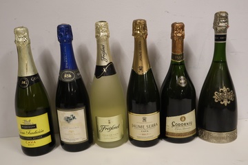 Afbeelding van Zes flessen cava champagne