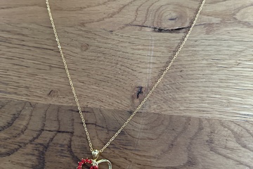Afbeelding van Goudkleurig ketting met hanger en Roos met steentjes