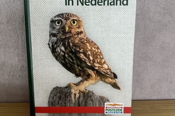 Afbeelding van Vogels in Nederland boek