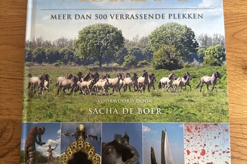 Afbeelding van Boek onverwacht Nederland