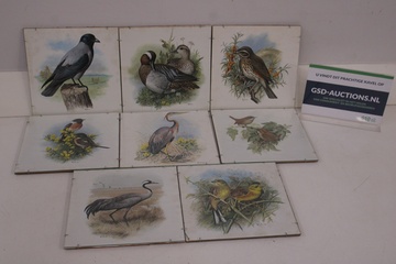 Afbeelding van Set van 8 vintage vogeltekeningen op tegels