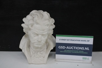 Afbeelding van Buste van Beethoven