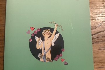 Afbeelding van Werkboek zigeunerkaarten (zeldzaam)