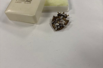 Afbeelding van Vintage broche met strass stenen – heraldisch design – inclu