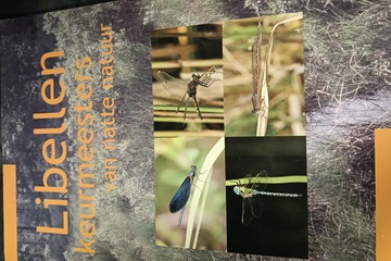Afbeelding van boek libellen