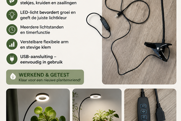 Afbeelding van planten lamp
